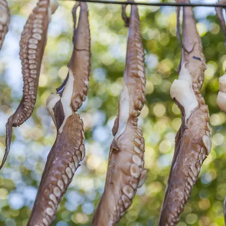 Phenomenal Mykonos 6 Bedrooms Paradise View Panoramic Sea View * 普沙罗